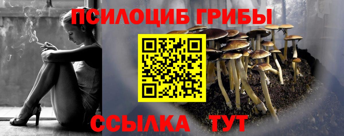 Абакан  Галлюциногенные грибы Cubensis  Вход с VPN 